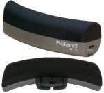 Roland BT-1