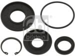 Febi Bilstein 44319 Set garnituri, caracsa directie