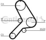 Continental Ctam Curea de distributie CONTINENTAL CTAM CT617 - automobilus