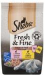 Sheba Fresh & Fine teljes értékű nedves eledel felnőtt macskáknak mártásban 6 x 50 g (300 g)
