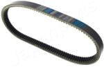 JAPANPARTS Curea de distributie JAPANPARTS DD-H14 (DD-H14)