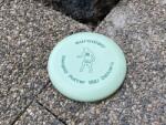 Eurodisc Discgolf - putter Culoare: verde
