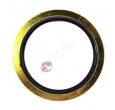 GM O-ring surub corp filtru ulei Opel Astra H 1.7 original GM