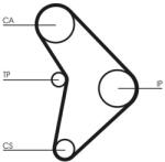 Continental Ctam Curea de distributie CONTINENTAL CTAM CT592 (CT592) - automobilus