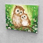 Festőleszek.hu Baglyok festés számok alapján kreatív készlet kerettel