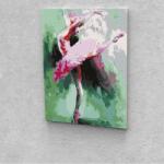 Festőleszek. hu Balerina festés számok alapján kreatív készlet kerettel 30x40