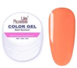 SELA Gel color LilaRossa 5g - nr. 063 - LR5G