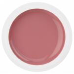 SELA Gel color Sela Painting 5g - 026