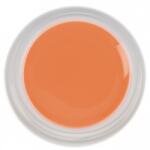 SELA Gel color Sela Painting 5g - 021