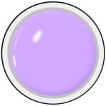 SELA Gel color Sela Painting 5g - 008