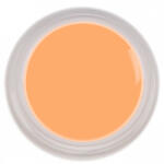 SELA Gel color Sela Painting 5g - 001
