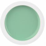 SELA Gel color Sela Painting 5g - 017