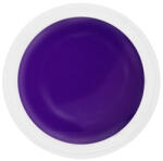 SELA Gel color Sela Painting 5g - 027