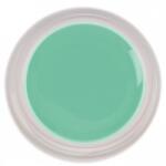 SELA Gel color Sela Painting 5g - 029
