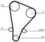 Continental Ctam Curea de distributie CONTINENTAL CTAM CT521 - piesa-auto