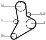 Continental Ctam Set curea de distributie CONTINENTAL CTAM CT622K1 - piesa-auto