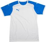 PUMA SS TEAMS JSY Póló 76912001 Méret XXL