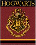 Halantex Harry Potter Crest coral fleece polár takaró 120x150cm (EMM5248361)