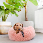 Orange Pet Brands Culcus caini - District 70 Fuzz Pink - M