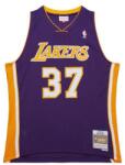 Mitchell & Ness Los Angeles Lakers #37 Ron Artest Dark Jersey purple