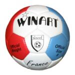 Winart Kézilabda Winart France III (0417)