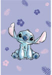  Lilo és Stitch mikroflanel gyermek takaró
