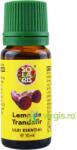 Solaris Ulei Esential Lemn de Trandafir 10ml