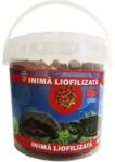 Exotic-K Exo - Inima Liofilizata 1000 ml Galetusa