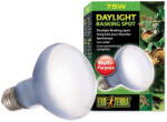 Exo Terra Bec Exo Terra Daylight Basking Spot 75W