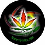 MONTANA DOG Grafikus címke XXS-S2 méretű Yutipet hámokhoz (Cannabis)