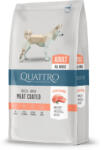 Quattro Adult Salmon Meat Coated 12kg