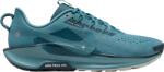 Nike Pegasus Trail 5 Terepfutó cipők dv3864-005 Méret 45 EU Férfi futócipő