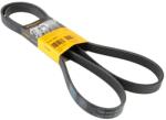 Continental Ctam Curea transmisie cu caneluri CONTINENTAL CTAM 6PK1893 (6PK1893)