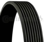 Continental Ctam Curea transmisie cu caneluri CONTINENTAL CTAM 8PK2080 (8PK2080)
