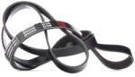 Continental Ctam Curea transmisie cu caneluri CONTINENTAL CTAM 6PK2460 (6PK2460)