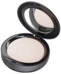 Radiant Professional Machiaj Ten Setting Powder Transparent Pudra 10 g