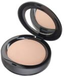 Radiant Professional Machiaj Ten Perfect Finish Compact Face Powder Porcelain Pudra 10 g