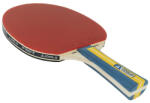JOOLA Paleta tenis masa JOOLA Team Master (52001)