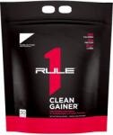 Rule One R1 Clean Gainer, Vanilla Ice Cream - 4320g