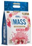 Applied Nutrition Critical Mass - Professional, White Chocolate & Raspberry (EAN 5056555204542) - 6000g