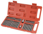 Extol 8818202 Set capete bit, chei tubulare