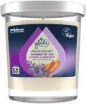 Glade Aromatherapy Moment of Zen, 170 g