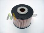 MOTAQUIP filtru combustibil MOTAQUIP LVFF691 (LVFF691)