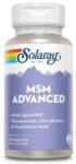 SOLARAY MSM Advanced, 60 capsule, Secom