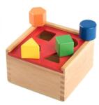 Viga Toys Forme colorate in cutie, Viga Toys (VIG50844)