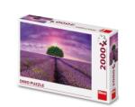  Puzzle Camp cu lavanda, 2000 piese RB40271 Puzzle