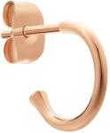 Daniel Wellington Обици (DW00400767)