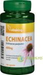 Vitaking Extract de Echinacea 250mg 90cps