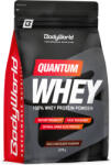 BodyWorld Quantum Whey 2270 g, ciocolată bogată