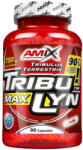 Amix Nutrition TribuLyn 90% Max 90 capsules